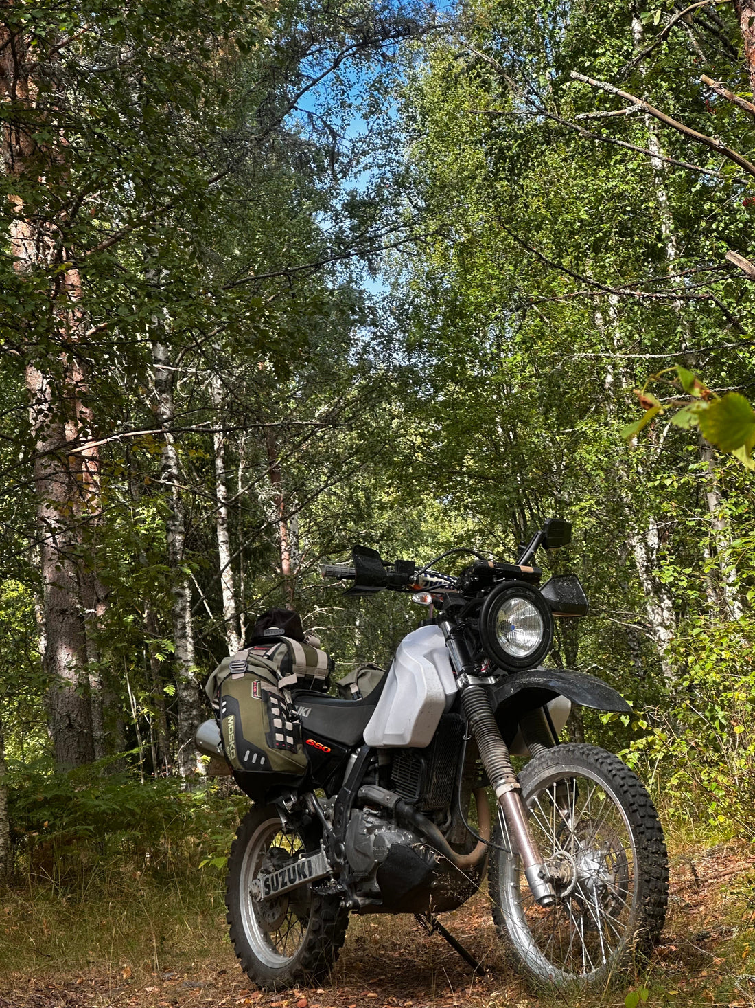 TET Sweden in Autumn, Possibly the Best Time to Ride!