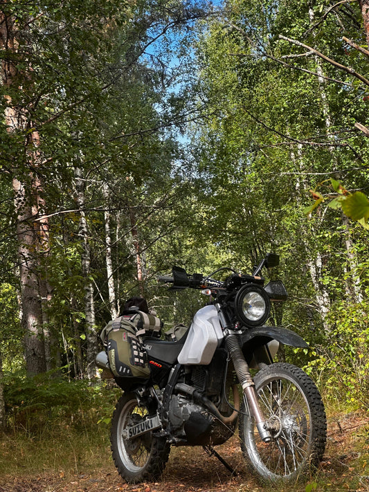 TET Sweden in Autumn, Possibly the Best Time to Ride!